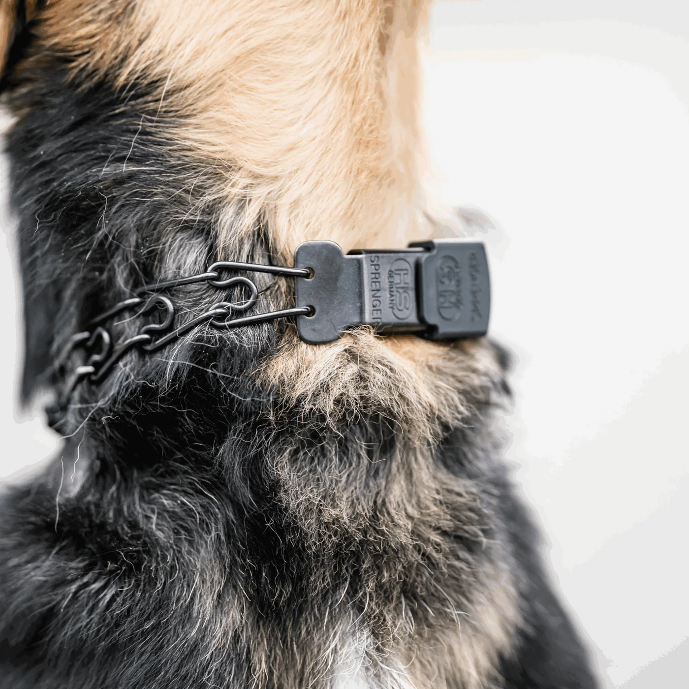 Herm Sprenger Black Stainless Steel Prong Collar with ClicLock in the Middle