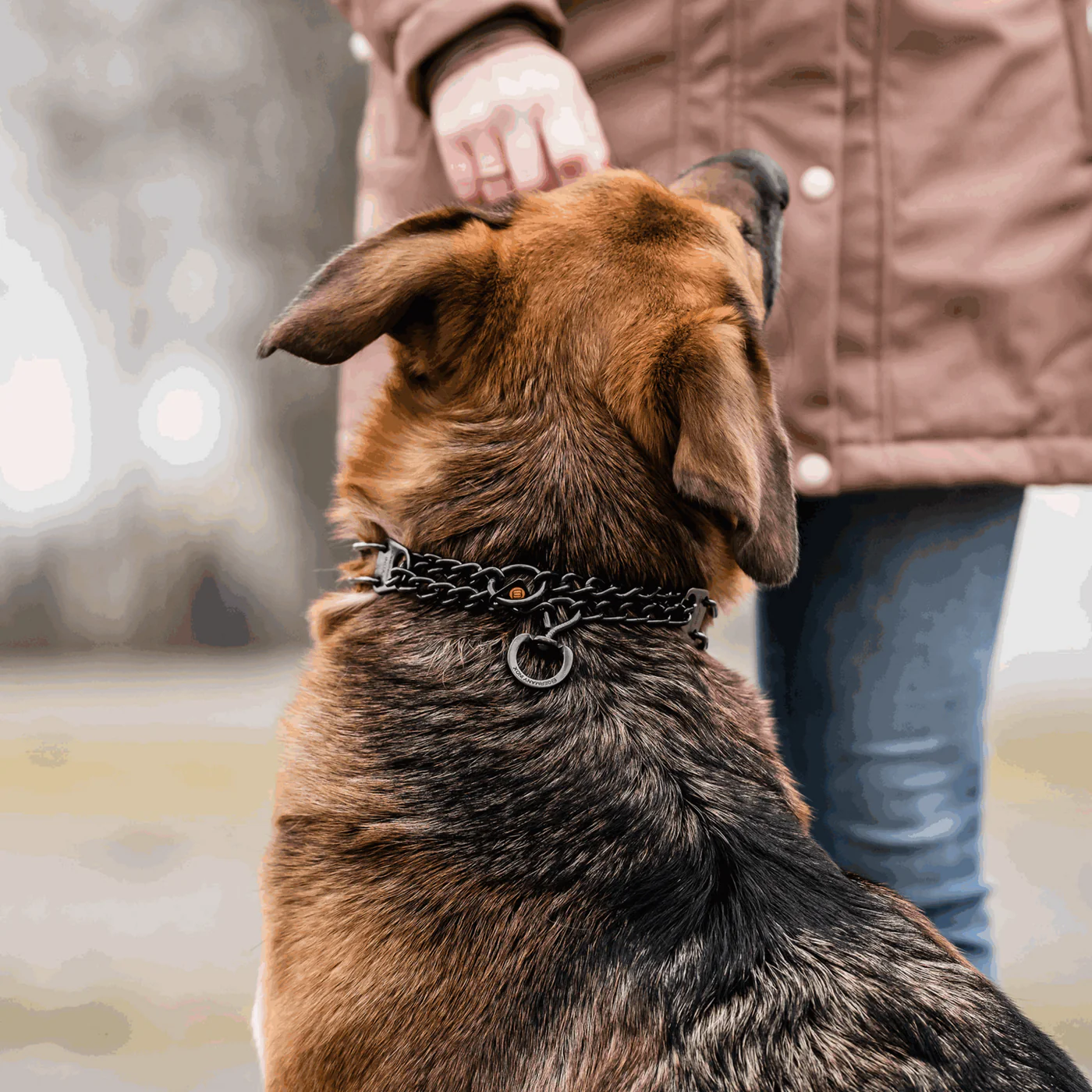 Herm Sprenger Black Stainless Steel Prong Collar with ClicLock in the Middle